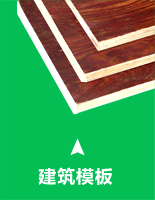 建筑模板